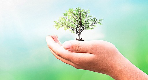 Renting eficiencia y sostenibilidad