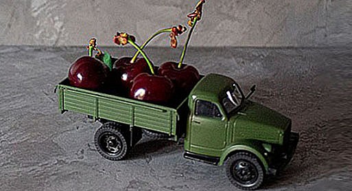 transporte alimentos perecederos