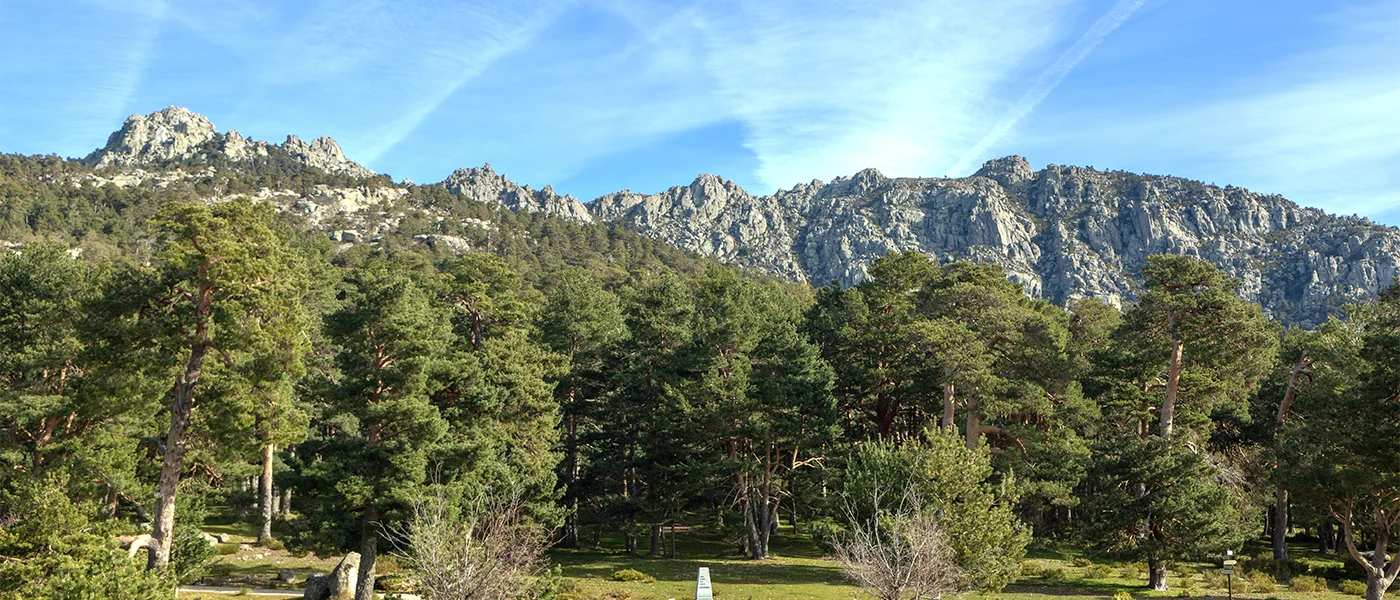 ruta camper Madrid