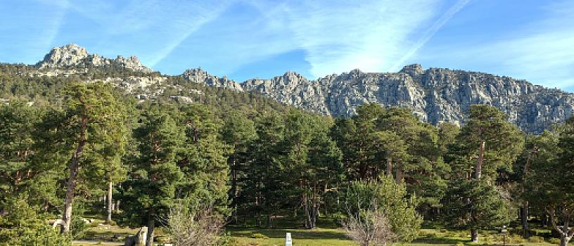 ruta camper Madrid