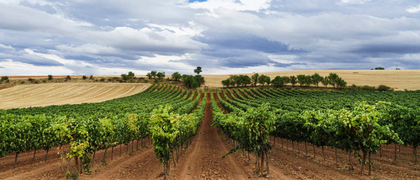 ruta camper Ribera del Duero